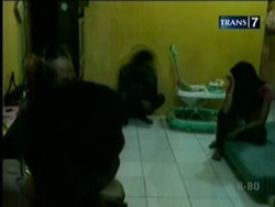 Dua Remaja Mesum Siang Bolong di Kebun