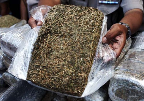 Polisi Sita 1 Ton Ganja Senilai Rp 3 M