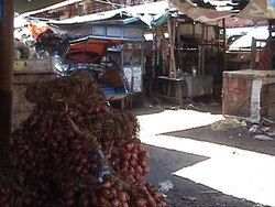 HKTI Brebes: Bawang Langka dan Mahal Karena Ulah Pemerintah Sendiri