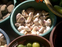 Ada Usulan Rekomendasi Impor Hortikultura Diberlakukan Per Perusahaan