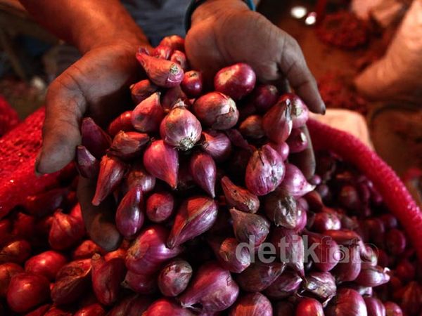 Harga Bawang Merah Tembus Rp 50.000/Kg