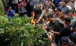 BNN Harus Bertindak Cepat Tambah Daftar Ghat di UU Narkotika