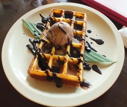 sweet waffle and chocolate ice cream