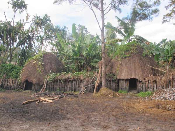Ini Rasanya Tidur di Rumah Jamur Asli Papua