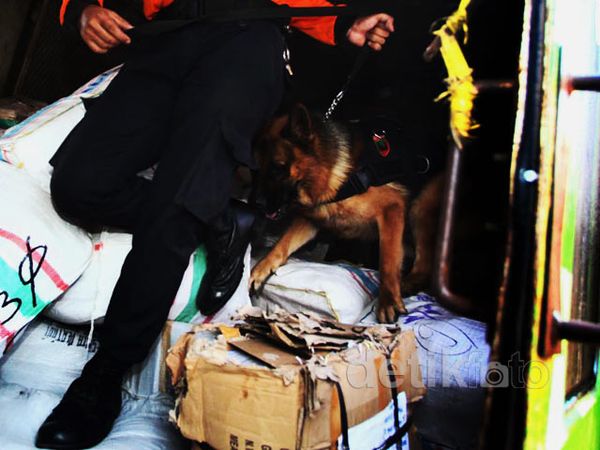 Anjing Pelacak Cegah Distribusi Narkoba