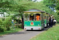 Wisata Akhir Pekan Berlimpah Buah Dunia