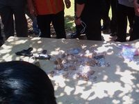 Polisi Tangkap Pelaku Perampokan Emas di Tambora