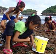 Tradisi Warga Pacitan Saat Air Laut Surut Berburu Siput
