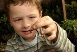 Mendeteksi Anak Cacingan dengan Mengubah Ponsel Jadi Mikroskop