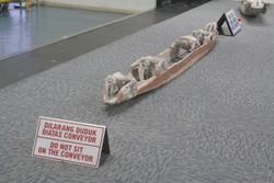 Pemandangan Menakjubkan di Bandara Mozes Kilangin