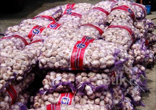 Bea Cukai Amankan 9 Ton Bawang India Ilegal