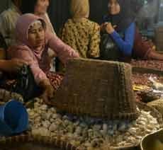 Sebelum Dilepas, 332 Kontainer Bawang Putih Impor Harus Berdokumen Lengkap