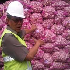 Penerbitan RIPH Terlambat Jadi Penyebab Harga Bawang Mahal