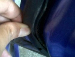 Cara Sederhana Basmi Semut yang Bersarang di Mobil