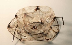 Wah, Cangkir Cantik Ini Dibuat dari Sayap Serangga!