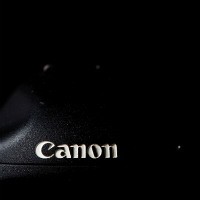 Belum Dirilis, Kamera DSLR Anyar Canon Bocor Duluan