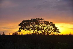 Matahari Terbit Lebih Indah di Timika