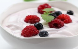 Yogurt, Makanan Bernutrisi Tinggi yang Hidup
