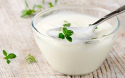 Mengapa Yogurt Digolongkan Probiotik?