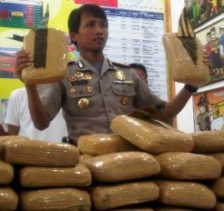 100 Kilogram Daun Ganja Kering Disita di Bogor