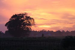 Saat Senja Di Batas Kota Pare