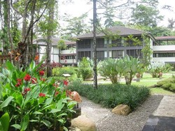 Siapa Sangka, Ada Hotel Mewah di Tengah Hutan Rimba Papua