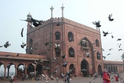 Marak Pemerkosaan di India, Inggris Keluarkan Travel Warning