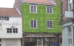 Restoran Ini Peroleh Pasokan Bahan Makanan dari Vertical Farm