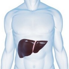 Ini Alasan Mengapa Hati Perlu Dibersihkan