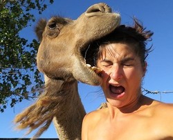 Kepala Turis Ini Dicaplok Unta!