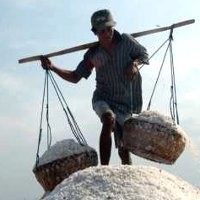 Target Swasembada Garam, Pemerintah Kerahkan 8 Ribu Penyuluh