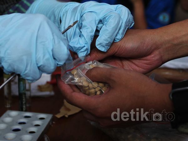BNN Musnahkan 16 Ribu Butir Ekstasi