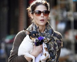 Ashley Greene Nyaris Jadi Korban Kebakaran, Anjingnya Ditemukan Tewas