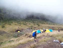Keindahan Gunung Gede yang Selalu Menghipnotis