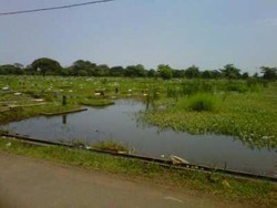Terendam Banjir, TPU Cilincing Berubah Jadi Tempat Pemancingan Umum