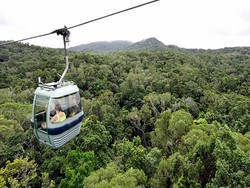 Kereta Gantung Macet, 54 Turis Terayun-ayun di Udara