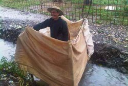 10 Negara dengan Sanitasi Terburuk di Dunia, Indonesia Peringkat 2