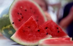 Semangka Juga Mampu Jadi Viagra Alami Untuk Ereksi Kuat