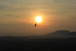 Beauty sun