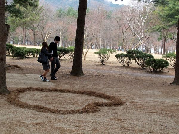 Romantisnya Nami Island di Korea, Mana Tahan!