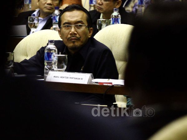 DPR-Mentan Bahas Harga Bawang
