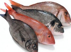 Sup Ikan Beraroma Anyir?