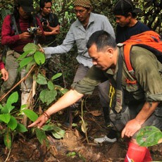 Jejak Hewan Langka, Badak Sumatera di Kalimantan Ditemukan