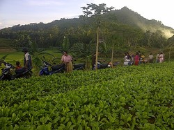 Kisah Desa di Kukar yang Dihadapkan Ancaman Aktivitas Tambang Batu Bara