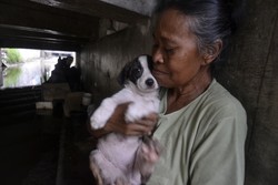 Kisah Mak Tun, Wanita Sebatang Kara Pelindung Anjing di Kolong Jembatan