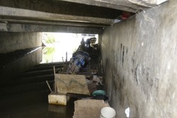 Saat Mak Tun & Anjingnya Berjibaku Melawan Arus di Kolong Jembatan