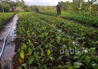 Aktivitas Tambang Ancam Penghidupan 720 KK di Kukar