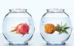 Main-Main dengan Makanan, Jadilah Ular, Ikan, dan Monster Lucu!