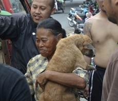 Horee! Mak Tun dan 14 Anjingnya Pindah dari Kolong Jembatan