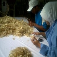 Berburu Sirip Ikan Hiu, Antara Dilarang dan Bisnis Yang Menggiurkan